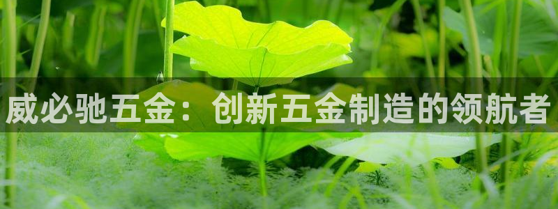 云顶国际高尔夫俱乐部地址