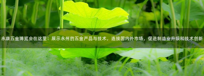 云顶国际高中学费多少钱