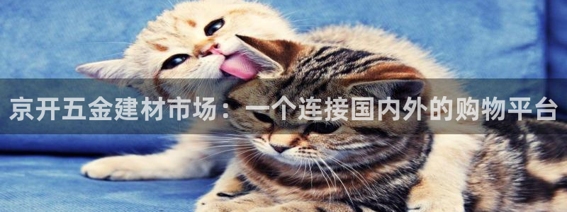 云顶国际版手游