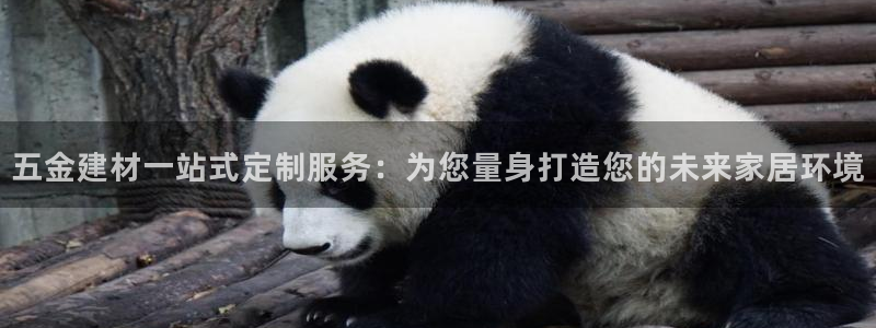 云顶国际电子游戏