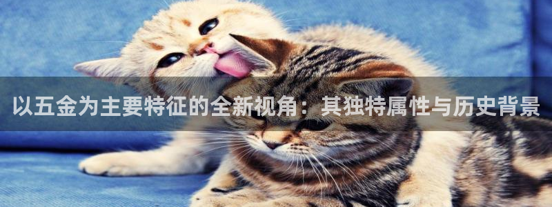 云顶国际版下载