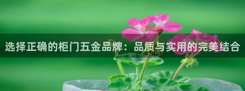 云顶国际服什么时候更新s119