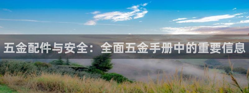 云顶集团林东简介