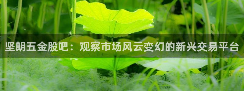 云顶国际服s10