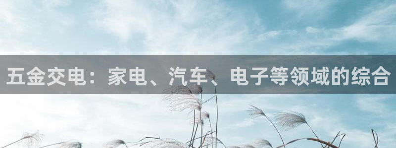 云顶国际高中学费多少钱一年