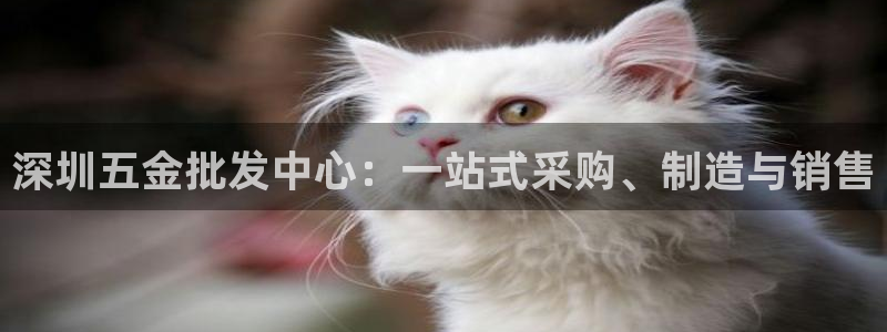云顶集团网