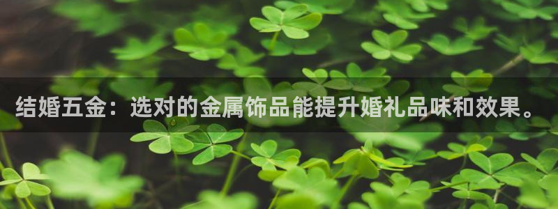 云顶国际城手机网址查询