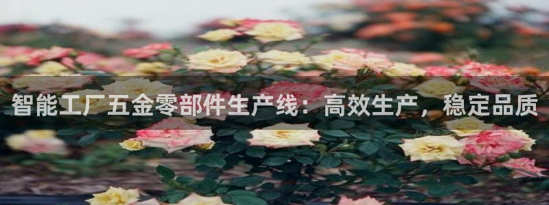 云顶国际俱乐部是干嘛的