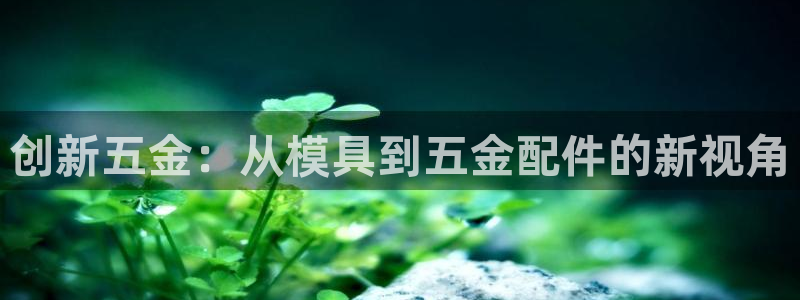 云顶国际app官方下载安装