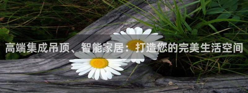 云顶国际麻将胡了多少张牌