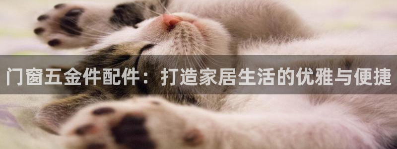 云顶国际电话号码