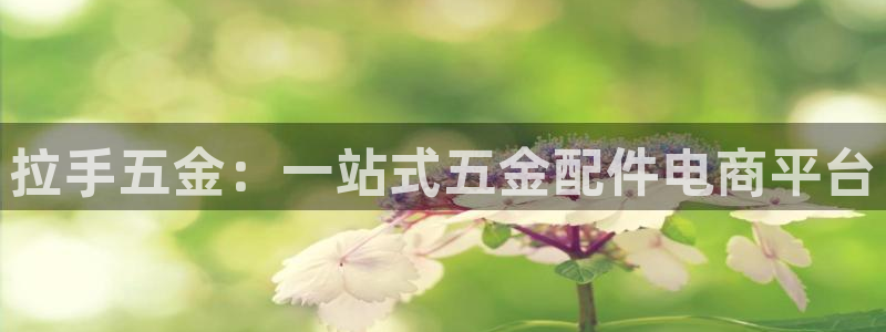 4008浏览器云顶下载