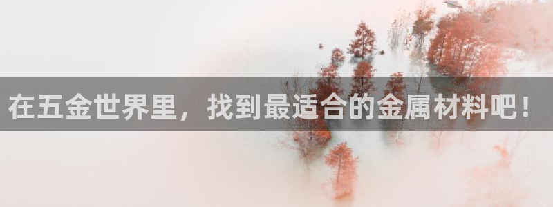 云顶国际测试服怎么进