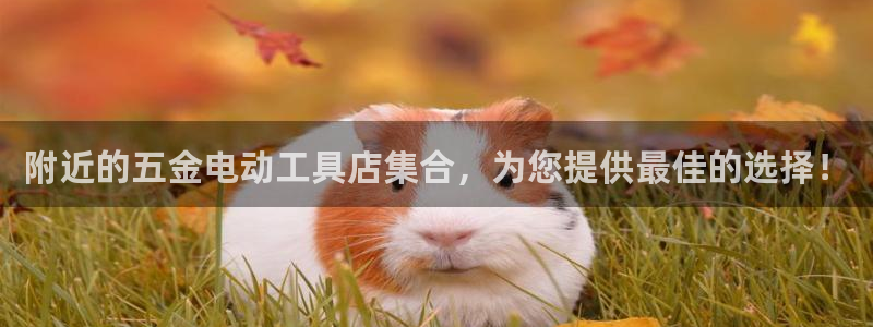 12311云顶线路检测