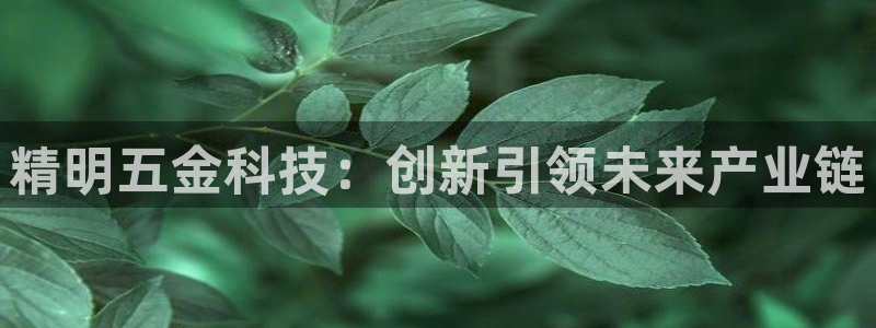太原云顶国际酒店老板是谁