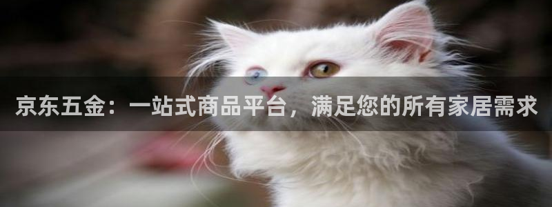 云顶国际足球app下载最新版