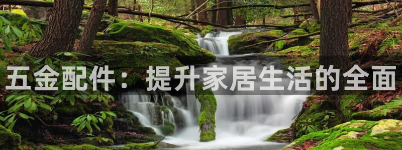云顶国际物流官网电话