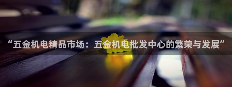 云顶集团rt电子游戏