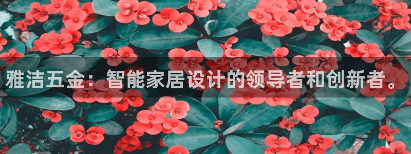 云顶国际服更新s11了吗