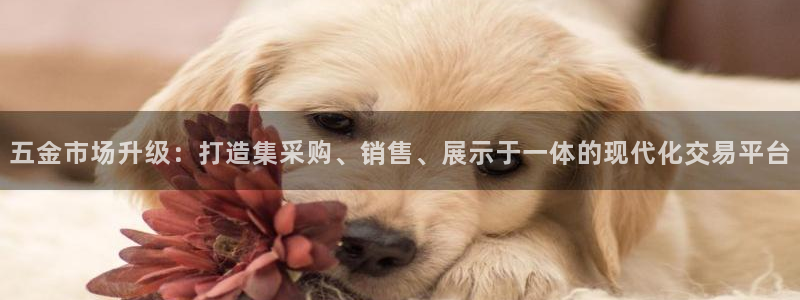云顶最新线路检测