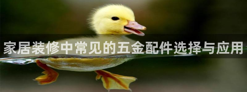 云顶国际广场房价