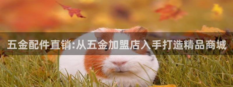 云顶国际缆车起点在哪里啊