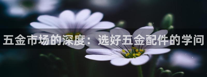 云顶国际足球app下载最新版