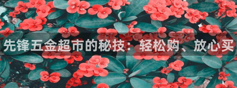 云顶国际提现