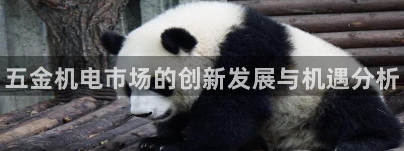 云顶国际服什么时候更新赛季