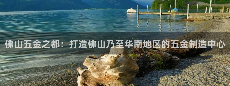 云顶国际晟荣协会荣誉奖项