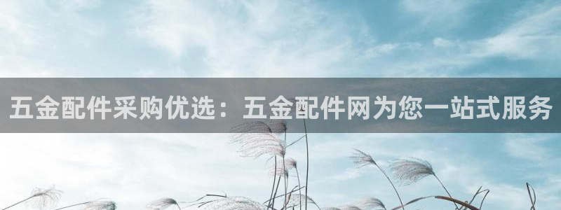 云顶国际商业广场怎么样