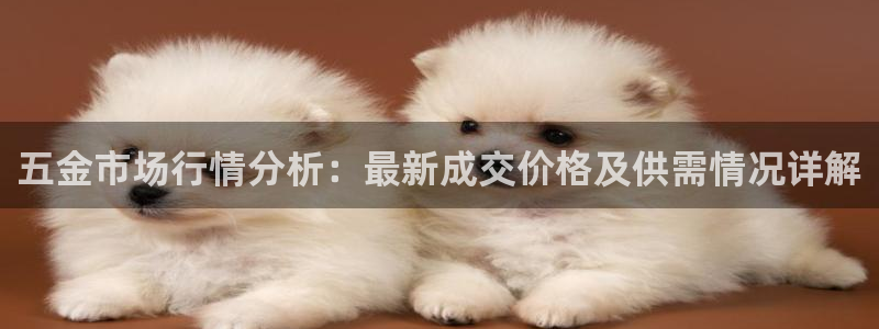 云顶国际能提现吗安卓