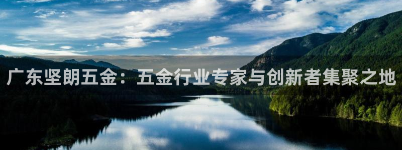云顶国际版