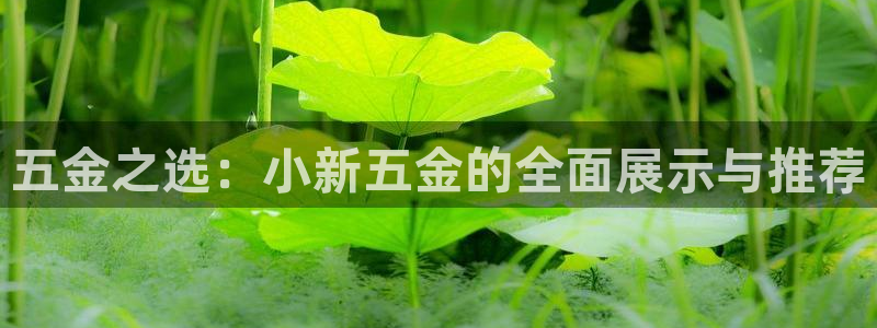 云顶集团公司董事长是谁