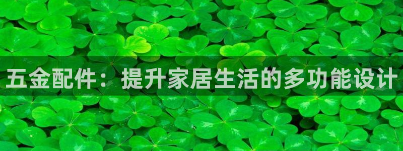 云顶国际集团发展有限公司国内项目总经理