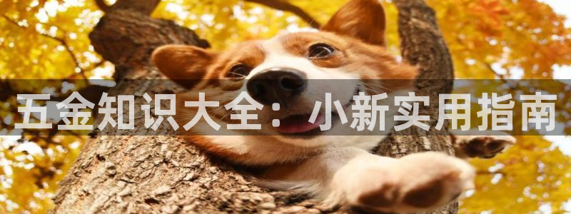 云顶集团存76送76