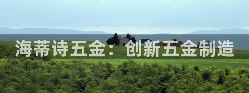 云顶集团3118app功能