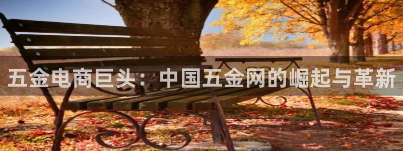 云顶集团董事长林东简历