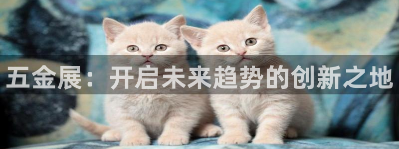 云顶集团有限公司简介图片