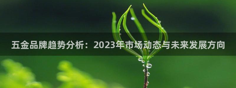 云顶国际黑不黑