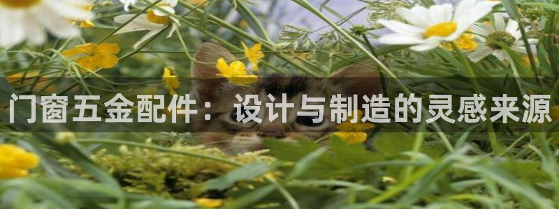 云顶国际商业广场 停车