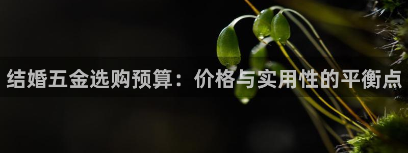 云顶国际晟荣协会会长是谁