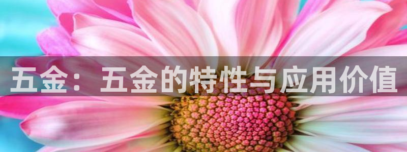 云顶国际线上平台