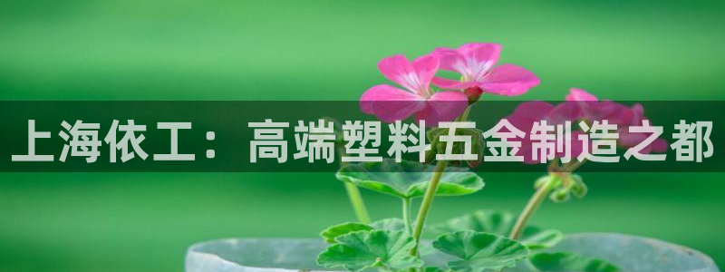 云顶集团下载app