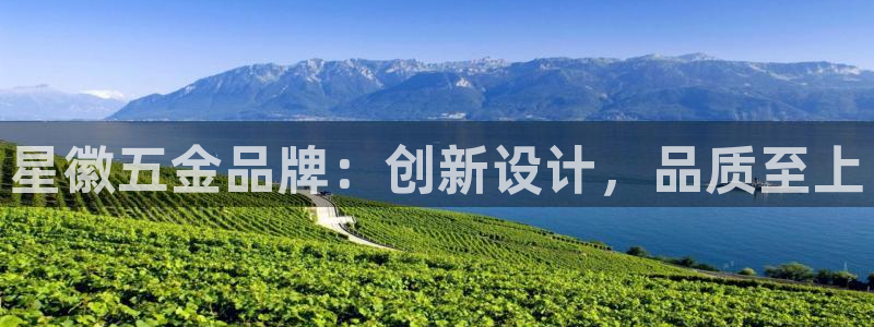 云顶国际游戏平台官网