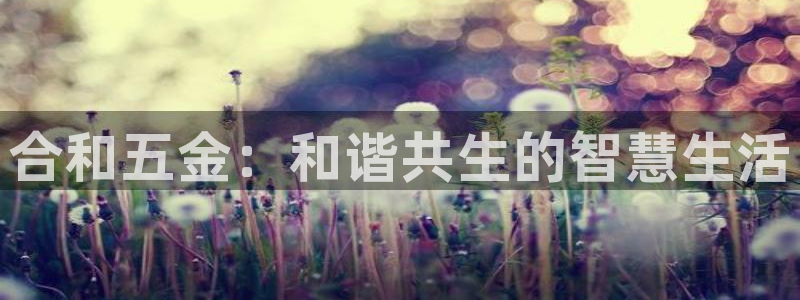 云顶国际官网app下载苹果