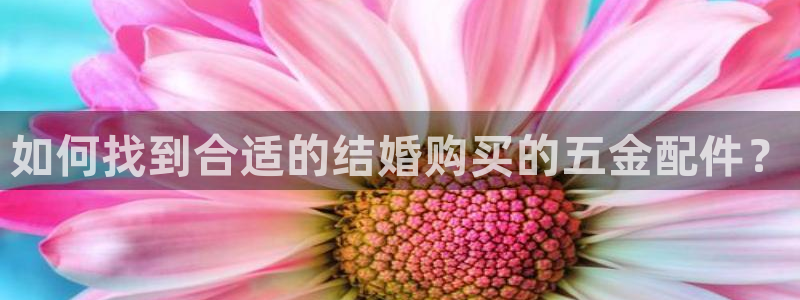 云顶集团官网电话客服