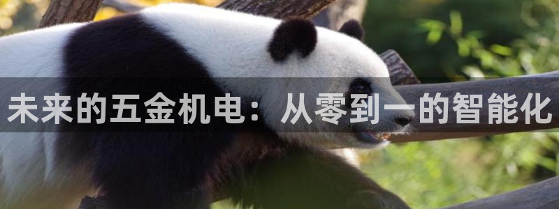 云顶国际酒店老板叫什么