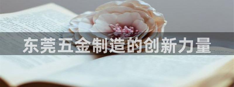 云顶国际城手机网址是什么