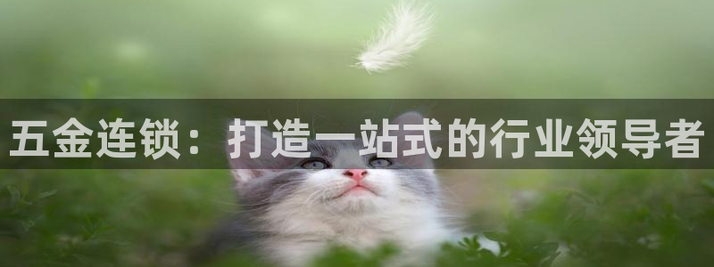 云顶国际是正规平台吗